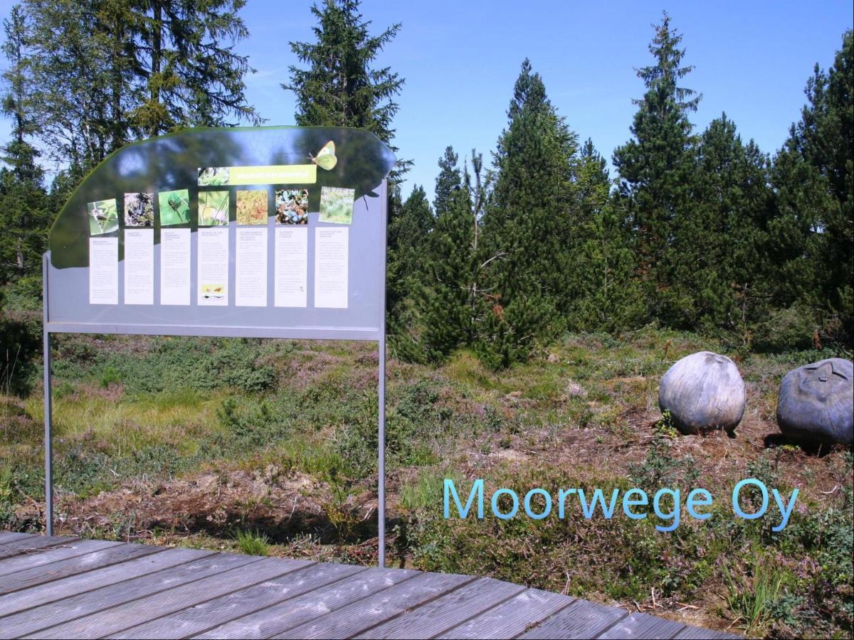 Ferienwohnung Schoene Auszeit Oy-Mittelberg Kültér fotó
